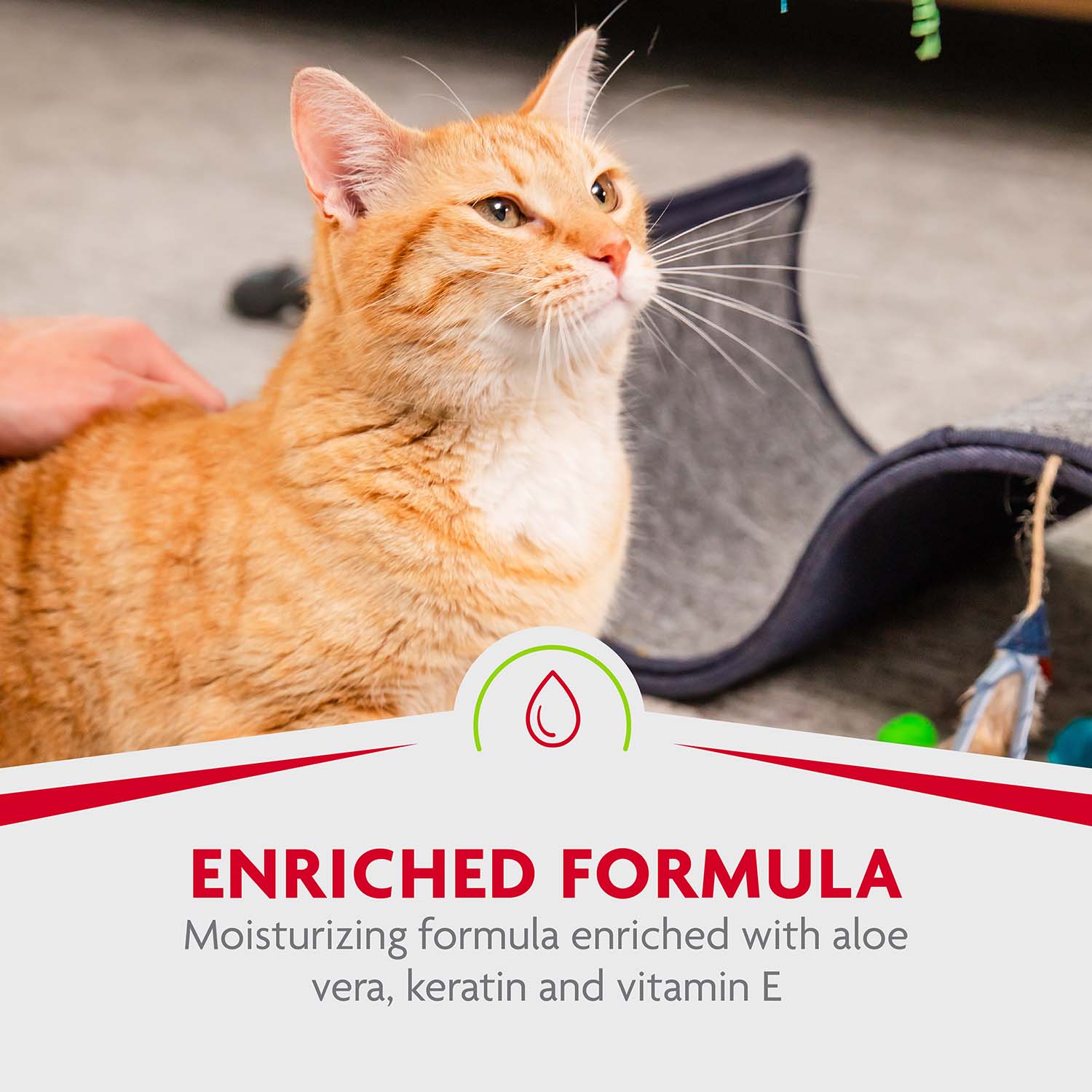 Furminator deshedding shampoo top cats